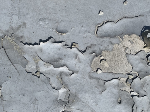 屋上防水工事のタイミング 黒カビ